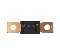Fusible 40A 50A 60A 80A 100A 125A 175A 150A 200A 250A 300A 400A Fusible Auto Fusible Voiture Bateau Moto Lame Fusibles Câblage de protection (Size : 175A)