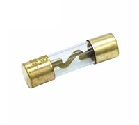 Fusible 5 pièces 10 * 38MM fusibles en verre plaqué or Pack amplificateur Audio de voiture 10A 15A 20A 25A 30A 40A 50A 60A 70A 80A 100A fusible de voiture Câblage de protection (Size : 100A)