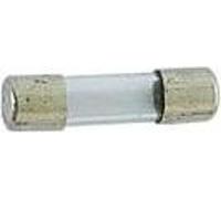 Fusible à action retardée - 5 x 20 mm - 0,1 a (10 pcs/carton)