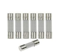 Fusible céramique à cartouche, Lot de 10 fusibles céramiques à action rapide 5 x 20 mm 250 V 0,1 A 30 A(0.25A)