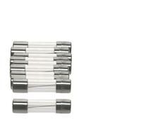 Fusible DIN träge 6,3 A, compatible avec les appareils de : Moulinex Saeco Gaggia Spidem