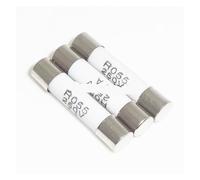 Fusible en céramique RO55 R055, 100 pièces, 250V 6A 8A 10A 15A 16A 20A 5x25mm(16A)