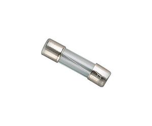 Fusible en verre 8 A - 5 x 20 mm