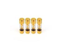 Fusible en verre AGU - 30 AMP - C.ASS F53