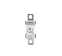 Fusible EV315-M-5N/M fusible basse tension DC 500V automobile rapide(EV315-M-5M-175A)