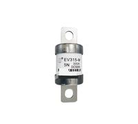 Fusible EV315-M-5N/M fusible basse tension DC 500V automobile rapide(EV315-M-5N-300A)
