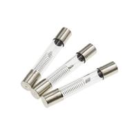 Fusible for four à micro-ondes 5 kV 6 x 40 mm 0,65 A,7 A,75 A,8 A,85 A,9 A 1 A, tube fusible 5000 V 700 mA(0.6A)