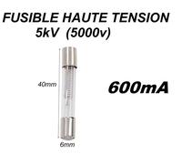 Fusible Haute Tension 5000V 600mA Compatible Toutes Marques
