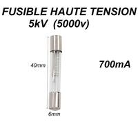Fusible haute tension pour micro-ondes 5KV 0.7A (700mA)