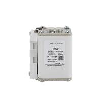 Fusible rapide CC DC1000V Pile de charge Énergie Tram 100A 200A 300A 350A Stockage d'énergie EV(Rsy-p101nk 315a,DC800V)