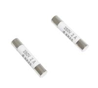 Fusible RO55 R055 en céramique, 100 pièces, tube à fusible 250V 5A 6A 8A 10A 13A 5x25mm(10A)