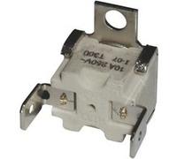 Fusible Thermique (t°c330) Pour Four Electrolux - 357056001 G
