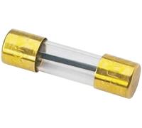 Fusible verre HiFi auto 100 A Sinuslive SG-100-1 1 pc(s)