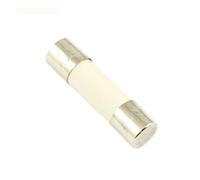 Fusibles électriques céramiques, 100 pièces Coup Rapide 5x20mm250V F 0.1A .2A .3A .5A 2. 3.15A 4A 6A 7A 8A 10A 12A 20A 25A 30A(10A)