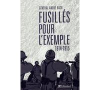 Fusillés pour l'exemple, 1914-1915