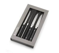 FUSION Coffret de 4 couteaux Steak Amefa