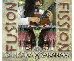 Fusion-Fission