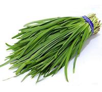Futaba Ail Ciboulette chinois Ciboulette pur légumes biologiques Natural Green 300 graines