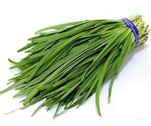Futaba Ail Ciboulette chinois Ciboulette pur légumes biologiques Natural Green 300 graines