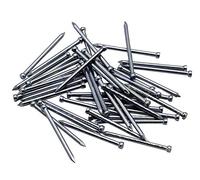 Future 601030 Embouts tête perdue, zinc, 10 x 30, sac/cab. 250 g, 10 x 30 mm.