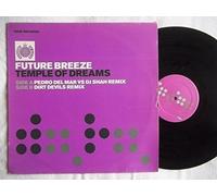 Future Breeze - Temple of Dreams [Import]