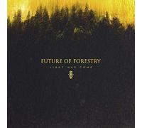 Future Of Forestry - Light Has Come