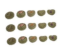 FUTUREORYY 15Pièces Gâteaux Naturels à Moudre pour Cobayes Snacks à Mâcher Amusants pour Animaux De Compagnie Assortiment De Formes