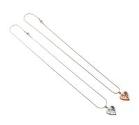 FUTUREORYY 2 Pièces Collier Pendentif pour Animaux de Compagnie Bijoux Pendentif de Souvenirs pour Animaux commémoratif pour de Compagnie urne pour Cendres