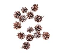 FUTUREORYY 25 Pièces Cônes de pin à tête Blanche décoratif Décorations de cône de pin Bricolage Noël Petit Ornements pour l'artisanat