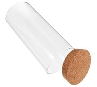 FUTUREORYY Bouteille Verre Transparente pour Plantes Intérieur Terrarium Écologique avec Bouchon Liège Vase Cylindrique Décoratif pour Mousse et Plantes Grasses Pot Décoratif pour Table et