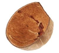 FUTUREORYY Cachette Reptile Coque de Noix de Naturelle Refuge Décoratif pour Terrariums Abri Sécurisé pour Tortues et Lézards Surface Texturée pour Grimper Habitat Naturel pour Reptiles