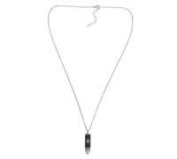 FUTUREORYY Collier Urne Inoxydable pour Cendres de Chien Pendentif Médaillon Commémoratif pour Femmes Souvenir de Patte Collier Urne pour Animaux de Compagnie