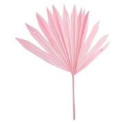 FUTUREORYY Feuille de Palmier Séchée Naturelle Rose, Matériel pour Arrangements Floraux, Décoration Murale et Fête, Ornement Intérieur, Accessoire Déco Maison, 1 Pièce