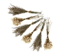 FUTUREORYY Lot de 6 Bouquets de Fleurs Séchées, Gypsophile Décorative en Herbe, Ne Fane Pas, pour Fêtes et Anniversaire, Décoration Maison
