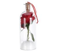 FUTUREORYY Roses Éternelles Préservées sous Cloche en Verre 20x7x7 Cm Enregistrement Vocal, Présent Décoratif Saint-Valentin, Anniversaire ou Fête des Mères, Fleur pour Anniversaire,