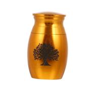 FUTUREORYY Urne Funéraire pour Animaux Acier Inoxydable Doré Petite Boîte Étanche pour Cendres de Chat Urne Commémorative et Résistante Corrosion