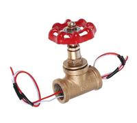 FUTUREORYY Vanne D’Éclairage Steampunk en Fer Vintage Interrupteur à Bascule Double Sortie G1/2 Diamètre 2 CM Fil Rouge et Blanc pour Lampe de Table Industrielle et Décoration Intérieure