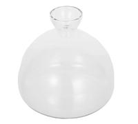 FUTUREORYY Vase Hydroponique pour Avocat Verre Transparent Grand Pot Stable pour Culture Avocat Intérieur et Extérieur Décoration de Table Élégante