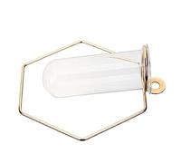 FUTUREORYY Vase Mural Hexagonal Verre et Design Station de Propagation Hydroponique pour Plantes Intérieur Décoration Murale Élégante pour Maison et Bureau