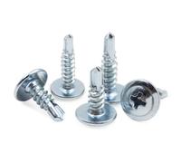 FUWQEPA 100 Pièces M4.2 Vis Zinc, Grandes Vis Autotaraudeuses À Tête Plate Plaquées, Vis Queue Perçage(M4.2x19 100pcs)