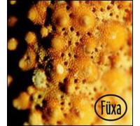 Fuxa - Accretion
