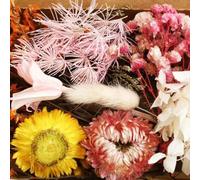 FuxFuis 2 PCS Fleurs Séchées Naturelles, Bouquet de Fleurs Séchées, Fleur Sechees Decoration, Deco Fleurs Séchées, Fleurs Séchées Mini Bouquet Deco de Table pour Mariage Scrapbooking DIY Bougie