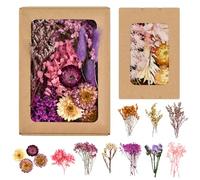 FuxFuis 2 PCS Fleurs Séchées Naturelles, Bouquet de Fleurs Séchées, Fleur Sechees Decoration, Deco Fleurs Séchées, Fleurs Séchées Mini Bouquet Deco de Table pour Mariage Scrapbooking DIY Bougie