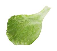 FUXIU Feuilles Laitue Artificielles Faux Légumes Modèle Feuille Verte Accessoire Photographie pour Modèles Plantation Jardinage