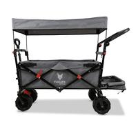 Chariot De Plage Gris FUXTEC Beach Cruiser Roues XXL Concu pour Le Sable, Freins Avant et Arrière, Transport Charge 75 kg - L'Original