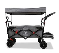 FUXLIFE • Chariot de Plage Pliable • FX-CTB800 • Gris • Roues Larges 10 cm • Chariot Familial Tout Terrain • capacité 75 kg • Toit Amovible • 2 sièges avec Ceintures • Pliage Compact très Facile