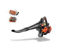 FUXTEC Kit souffleur/aspirateur de feuilles à batterie 40V FX-E2LBSSET