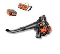 Souffleur aspirateur sans fil FUXTEC 40 volts 2-en-1 FX-E2LBS-SET, avec batteries et chargeur