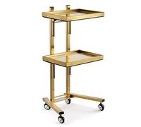 FUYAO Bac à Salon en Acier Inoxydable sur Roues Tatouage - Chariots Utilitaires Pliables 2 Niveaux Stand de Rangement Pliable pour Les Salons, Les spas, Les Salons de Coiffure - Tattoo Medical Dental