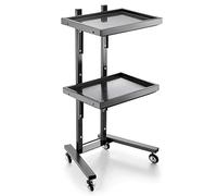 FUYAO Bac à salon en Acier Inoxydable sur Roues Tatouage - chariots Utilitaires Pliables 2 Niveaux Stand de Rangement Pliable pour Les Salons, Les spas, Les Salons de Coiffure - Tattoo Medical Dental